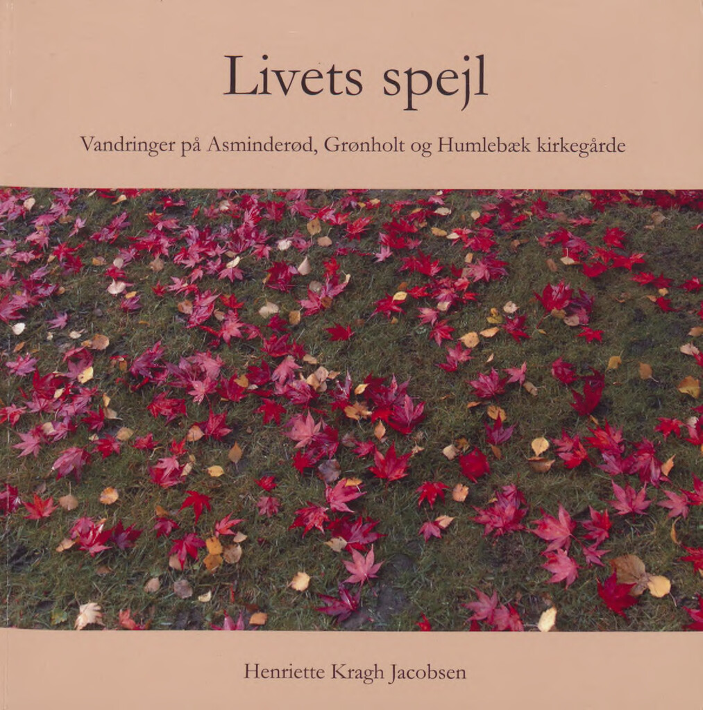 livets spejl pdf thumbnail